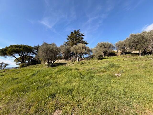 Terrain vente à Grasse