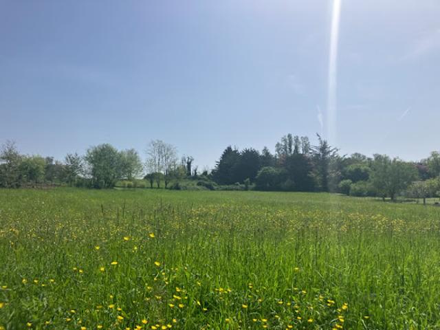 Terrain vente à Langon
