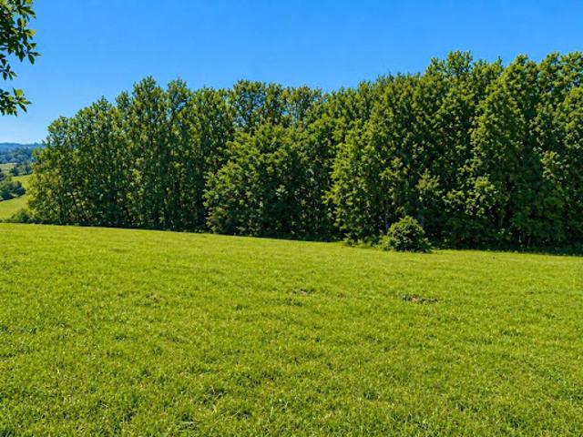 Terrain vente à Périgueux, Sanilhac