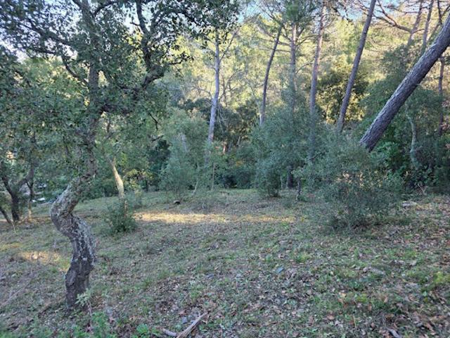 Terrain vente à Arrondissement de Toulon, Pierrefeu-du-var