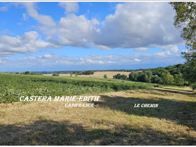 Terrain vente à Auch