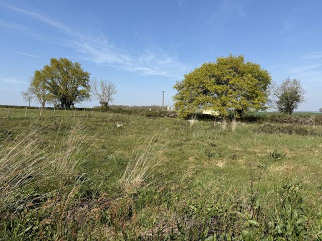 Terrain vente à Fontenay-le-Comte, Loge-fougereuse