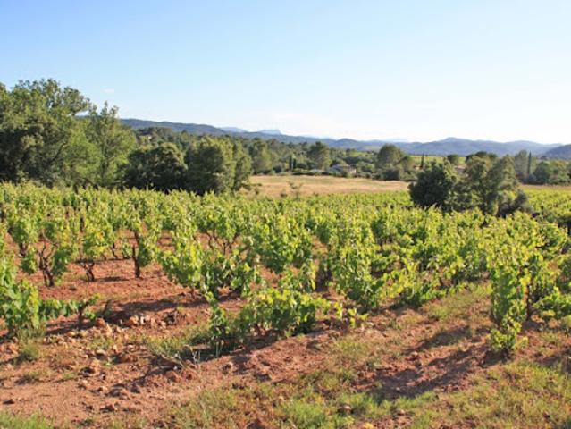 Terrain vente à Carcès, Var