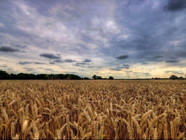 Terrain vente à Issoudun, Ségry