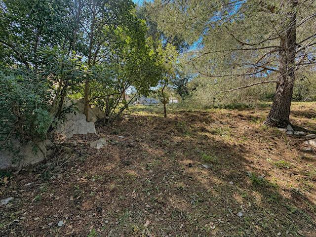 Terrain vente à Arrondissement de Draguignan, Roquebrune-sur-argens