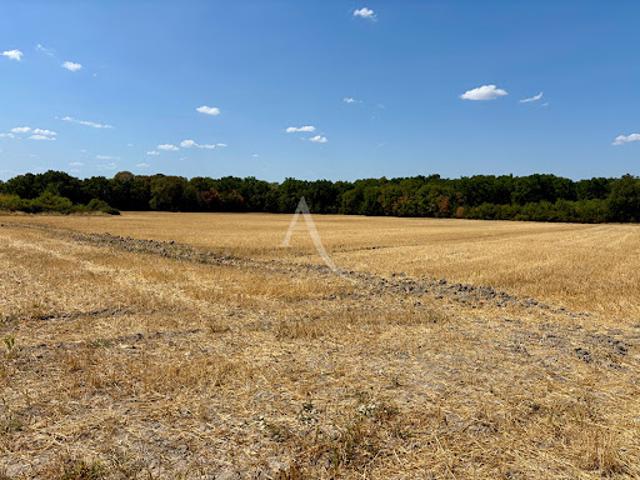 Terrain vente à Romorantin-Lanthenay, Chémery