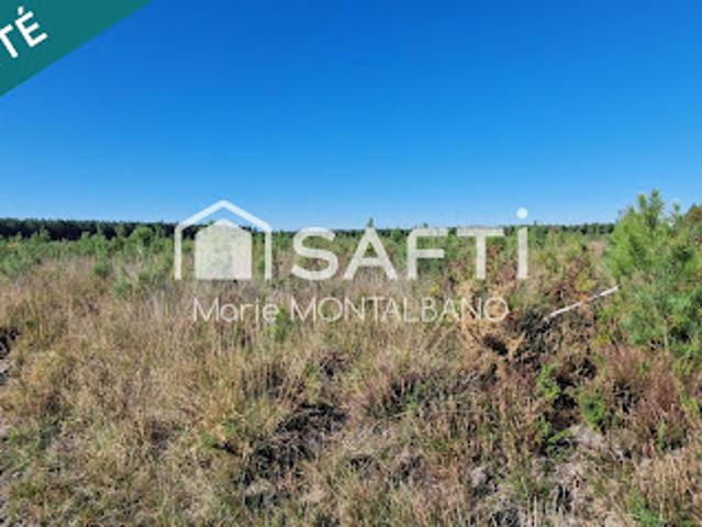 Terrain vente à France métropolitaine, Sanguinet