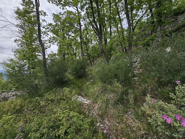 Terrain vente à Saint-Vallier-de-Thiey, Alpes-Maritimes