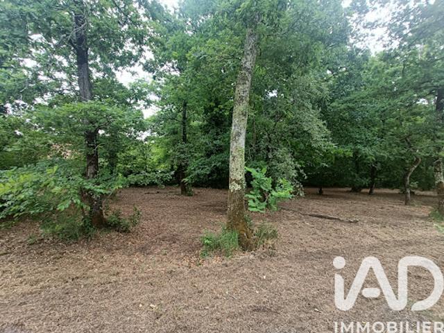 Terrain vente à France métropolitaine, Le Pian-médoc