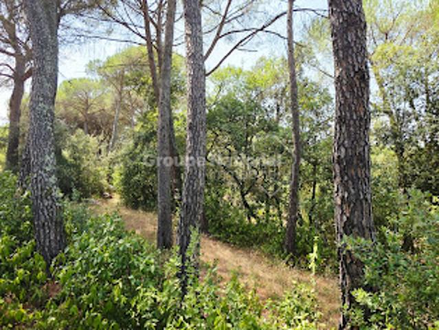 Terrain vente à Nîmes, Sabran