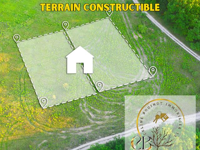 Terrain vente à Saint-Caprais-de-Blaye, Val-de-Livenne