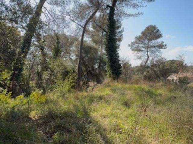 Terrain vente à Grasse, Roquefort-les-pins