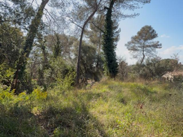 Terrain vente à Grasse, Roquefort-les-pins