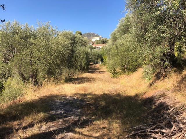 Terrain vente à France métropolitaine, Colomars