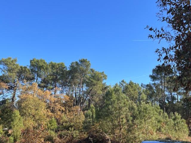 Terrain vente à France métropolitaine, Le Pian-médoc