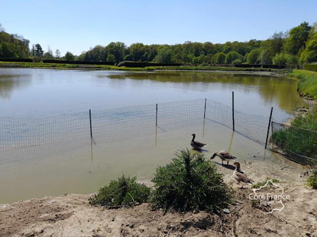 Terrain vente à Avesnes-sur-Helpe, Féron