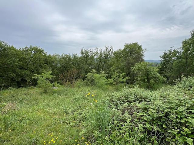 Terrain vente à Largentière, Saint-alban-auriolles