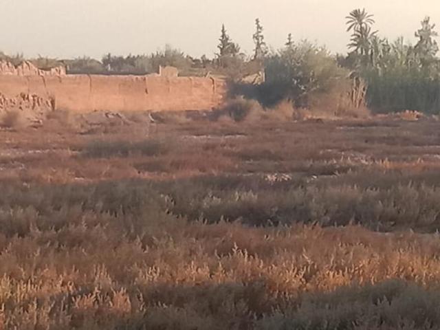 Terrain vente à Marrakech, L'Oriental