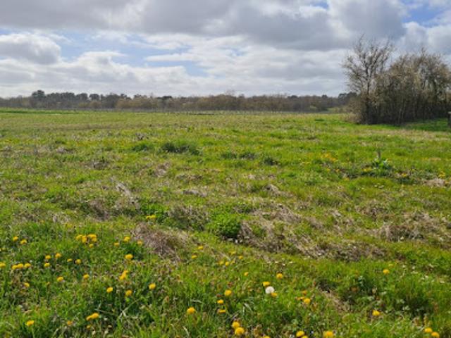 Terrain vente à Langon, Baigneaux