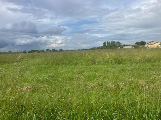 Terrain vente à La Bartère, Casteljaloux