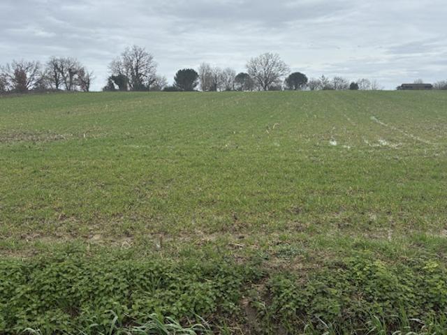 Terrain vente à Nérac, Caubeyres