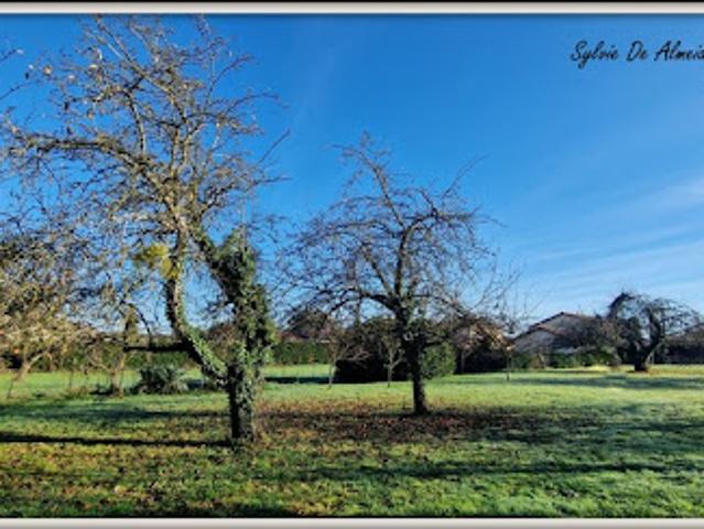 Terrain vente à Bourg-en-Bresse, Feillens