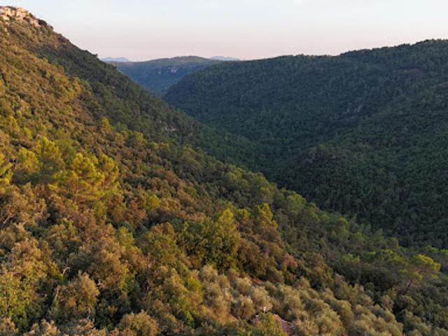 Terrain vente à Saint-Cézaire-sur-Siagne, Alpes-Maritimes