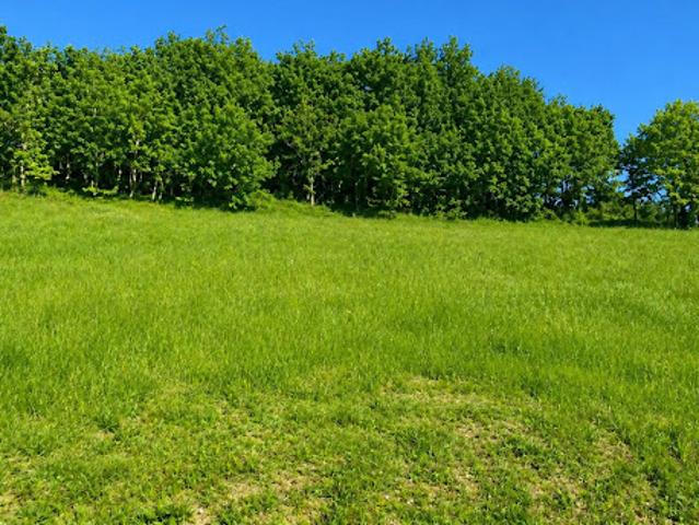 Terrain vente à Périgueux, Celles