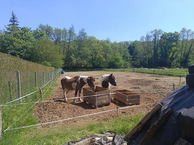 Terrain vente à Montreuil-aux-lions, Aisne