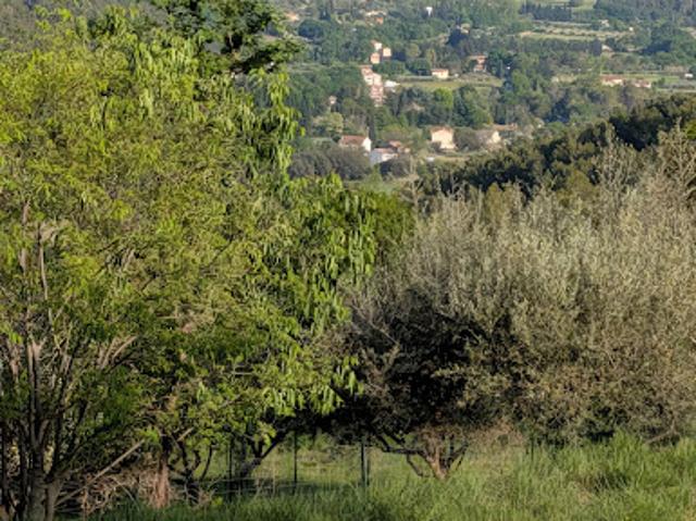 Terrain vente à Lentier, Ampus