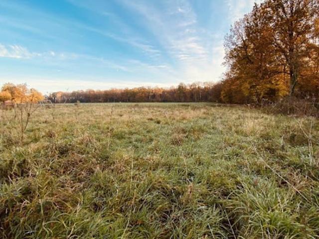 Terrain vente à Épernay, Le Meix-saint-epoing
