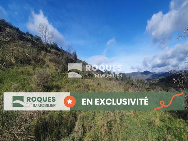 Terrain vente à Lodève, Olmet-et-villecun