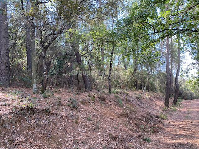 Terrain vente à Arrondissement de Draguignan, Le Muy