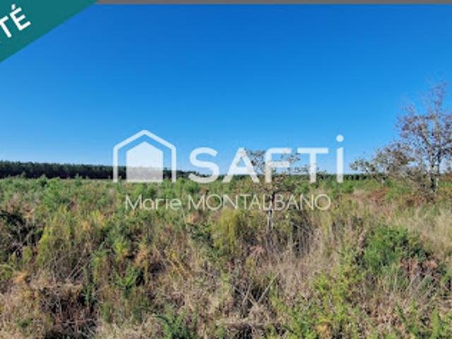 Terrain vente à France métropolitaine, Sanguinet