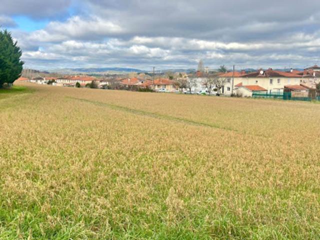 Terrain vente à Albi, Saint-benoît-de-carmaux