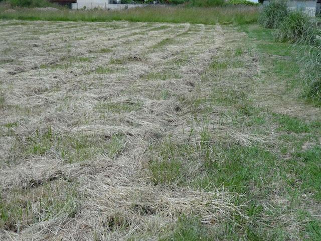 Terrain vente à Périgueux, Neuvic