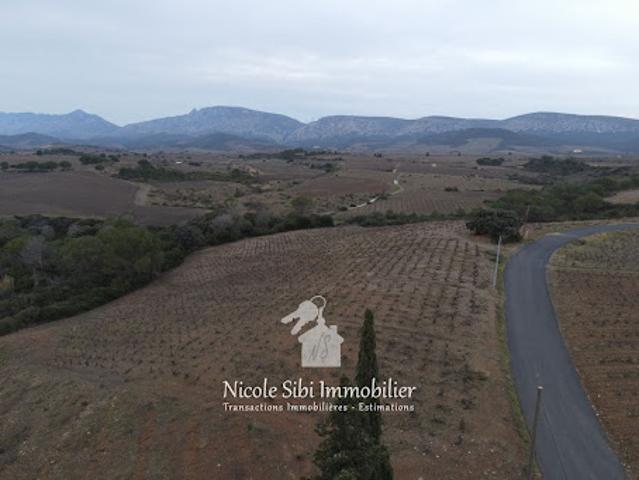 Terrain vente à Perpignan, Tautavel