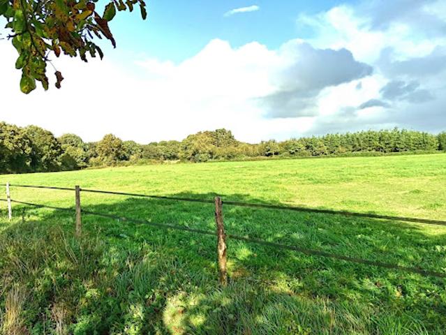 Terrain vente à Châteaubriant-Ancenis, Riaillé