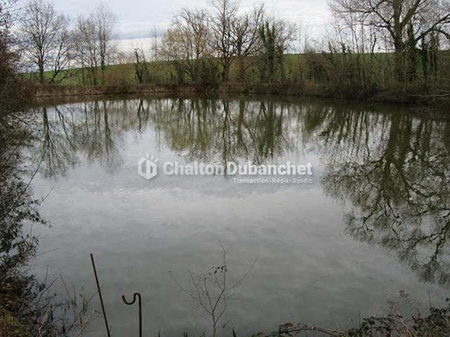 Terrain vente à Roanne, Saint-cyr-de-favières