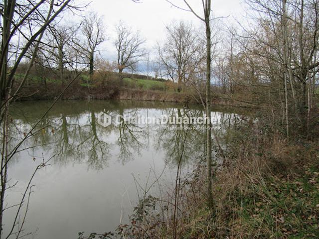 Terrain vente à Roanne, Saint-cyr-de-favières