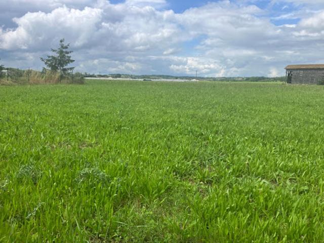 Terrain vente à France métropolitaine, Caubeyres