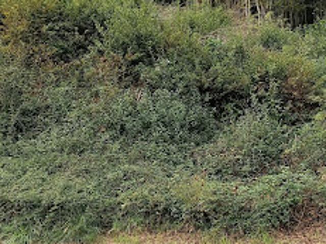 Terrain vente à Brive-la-Gaillarde, Malemort-sur-corrèze
