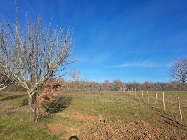 Terrain vente à Montauban, Puylaroque