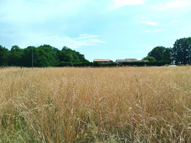 Terrain vente à Jonzac, Nouvelle-Aquitaine
