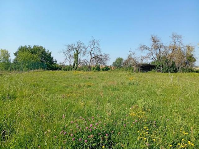 Terrain vente à Belvèze-du-Razès, Aude