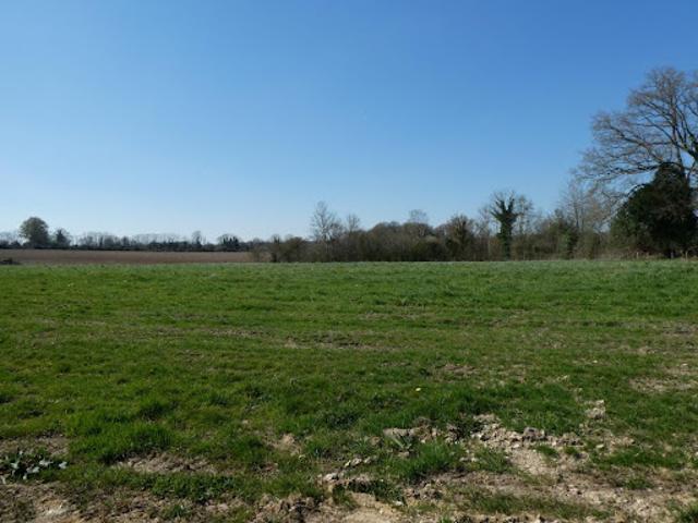 Terrain vente à Lisieux, Manerbe