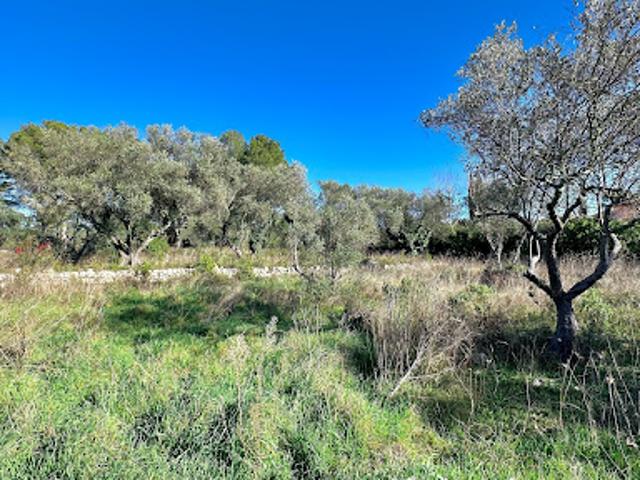 Terrain vente à Arrondissement de Draguignan, Bagnols-en-forêt