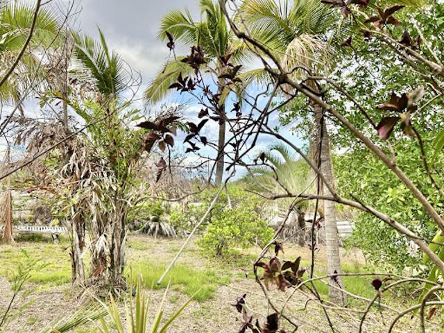 Terrain vente à La Réunion
