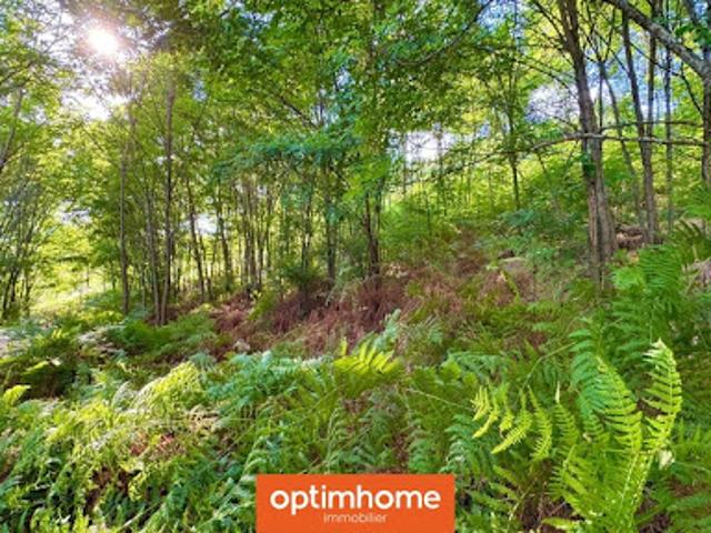 Terrain vente à Épinal, Saulxures-sur-moselotte