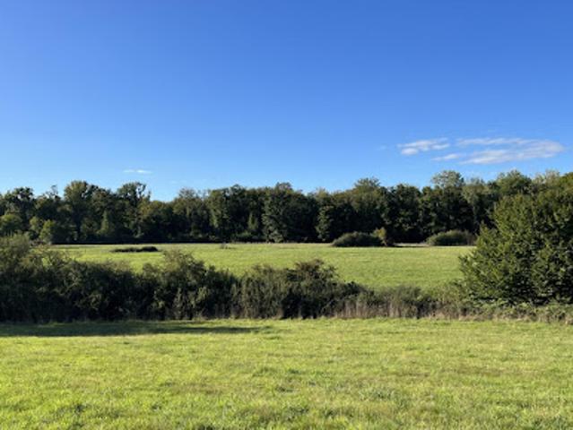 Terrain vente à Saint-Amand-Montrond, Jouet-sur-l'aubois